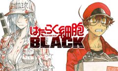 Hataraku Saibou Black เซลล์ขยัน พันธุ์เดือด แบล็ค ตอนที่ 1-13 จบ ซับไทย