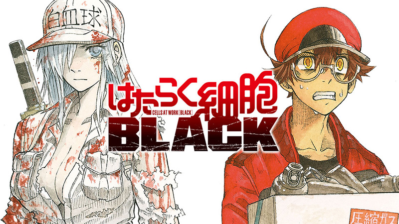 Hataraku Saibou Black