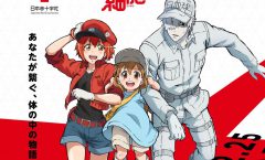 Hataraku Saibou!! เซลล์ขยัน พันธุ์เดือด (ภาค2) ตอนที่ 1-8/8 END ซับไทย