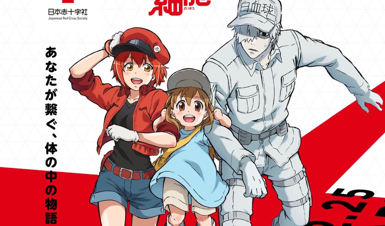 Hataraku Saibou!!