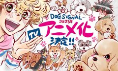 Dog Signal - สัญญาณหมา ตอนที่ 1-16 ซับไทย